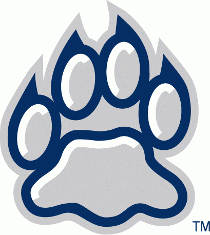 New Hampshire Wildcats 2000-Pres Alternate Logo v3 iron on transfers for clothing